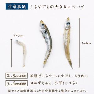 ふるさと納税 【定期便12回】乾燥ちりめんじゃこ(上干ちりめん) 1.2kg 高知県南国市_3