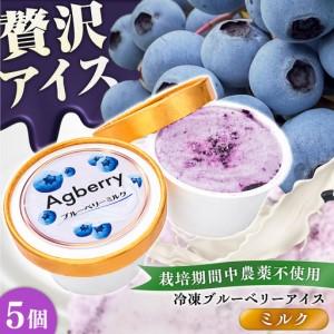 ふるさと納税 冷凍ブルーベリーアイス(ブルーベリーミルク) 計5個セット / アイス あいす 氷菓子 フルーツ ブルーベリー ぶるーべりー ミルク デ.. 熊本県菊陽町