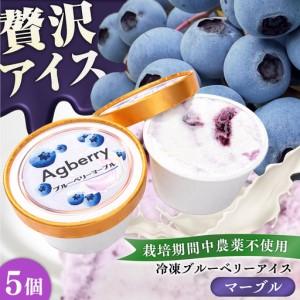 ふるさと納税 冷凍ブルーベリーアイス(ブルーベリーマーブル) 計5個セット / アイス あいす 氷菓子 フルーツ ブルーベリー ぶるーべりー マーブ.. 熊本県菊陽町