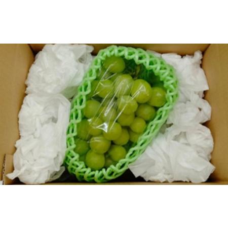 ふるさと納税 やまがた贅沢フルーツ定期便（全4回） FSY-2823 山形県_3