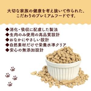ふるさと納税 【定期便3回】 国産 無添加 ドッグフード -Foodie- 京都府_2