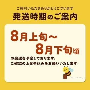ふるさと納税 《先行受付》【定期便隔月・3回】【新蜜】小松養蜂場 はちみつ 秋田県産100％ アカシアはちみつ 1kg 空ピッチャー付 秋田県由利本荘市_2