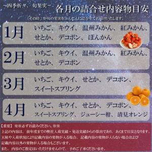 ふるさと納税 三豊市産の厳選フルーツ詰合せ♪【天の川コース】 香川県三豊市_1