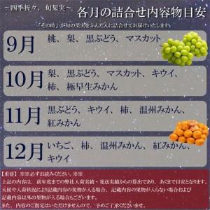 ふるさと納税 三豊市産の厳選フルーツ詰合せ♪【天の川コース】 香川県三豊市_3