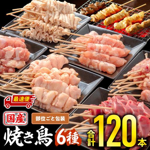 ふるさと納税 鶏肉 焼き鳥 鶏肉[最速便 若鶏 6種 120本] 宮崎県宮崎市