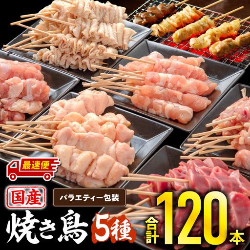 ふるさと納税 [最速便]若鶏の焼き鳥セット5種(120本)バラエティーセット 焼き鳥 炭火焼 串焼き もも串 せせり 皮串 ぼんじり 砂肝 炭火焼 BBQ .. 宮崎県宮崎市