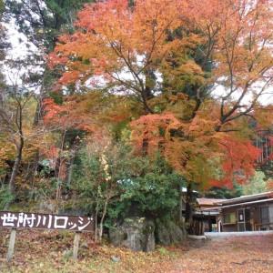 ふるさと納税 【世附川ロッジ】『バンガロー宿泊券』１泊・大人２名様＋小人１名様（BBQスペース付） 神奈川県山北町_3