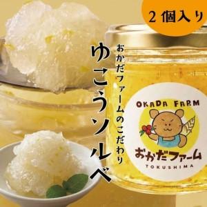 ふるさと納税 柑橘 デザート 完熟ゆこうのご褒美ソルベ 2個セット アイス ジェラート ゆこう ご褒美 アイスクリーム 乳製品不使用 柑橘 みか.. 徳島県小松島市