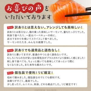 ふるさと納税 【訳あり】エンペラーサーモン【900g】_T012-1017 北海道白糠町_1