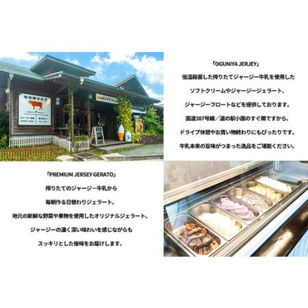ふるさと納税 【OGUNIYA JERJEY】阿蘇小国ジャージージェラート ミルク 12個 ゴールデンミルク 牧場しぼり 山吹色のジャージー牛乳使用 お取り寄.. 熊本県小国町_2