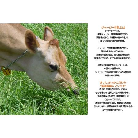 ふるさと納税 【OGUNIYA JERJEY】阿蘇小国ジャージージェラート ミルク 12個 ゴールデンミルク 牧場しぼり 山吹色のジャージー牛乳使用 お取り寄.. 熊本県小国町_4