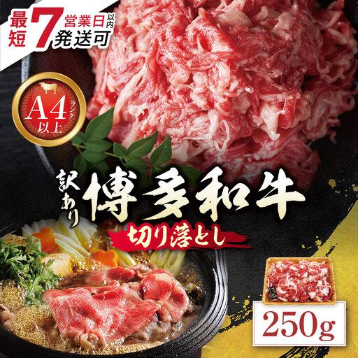ふるさと納税 Z59-27 寄附額改定↓↓ 博多和牛A4ランク以上 切り落とし 250g 博多和牛 福岡県福智町