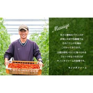 ふるさと納税 【2026年10月〜順次出荷】定期便 3回 ミニトマト3kg　アマメイド糖度8度以上　高リピート率野菜 大阪府岸和田市_3