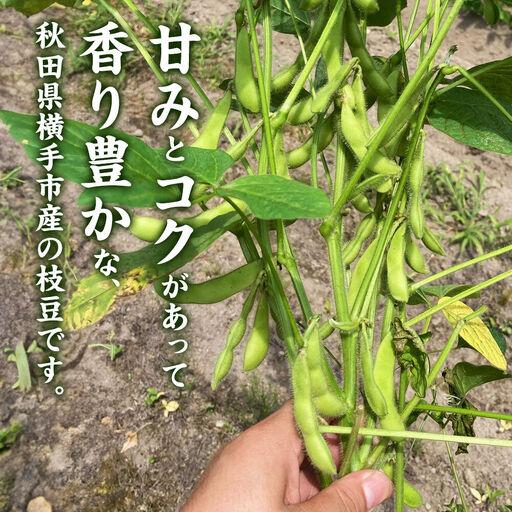 ふるさと納税 ＜先んずる受け付け 7月下旬より送りとどける＞造り手の顔が見える「事あたらしいいきいき枝豆」 5.0kg（250g×20袋）秋田県横手市産 秋田県横手市