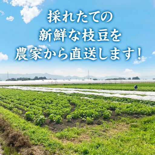 ふるさと納税 ＜先んずる受け付け 7月下旬より送りとどける＞造り手の顔が見える「事あたらしいいきいき枝豆」 5.0kg（250g×20袋）秋田県横手市産 秋田県横手市