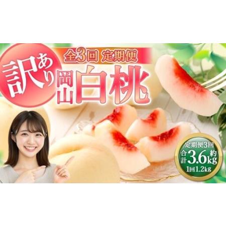 ふるさと納税 [ 全3回定期便 ] 訳あり 岡山白桃 ( 家庭用 ) 1.2kg以上 サイズ不揃い 果実 フルーツ 甘み 香り 旬 手土産 くだもの 果物 果汁.. 岡山県倉敷市