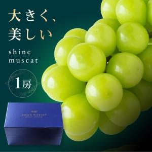 ふるさと納税 シャインマスカット1房 bloom leaf[BKBI002] 愛媛県内子町