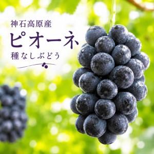ふるさと納税 [ふるさと納税]ピオーネ 約1kg 種なしぶどう 常温配送[9月後半-10月前半頃出荷]昼夜の寒暖差が育てた濃厚な甘み| 株式会.. 広島県神石高原町