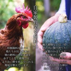 ふるさと納税 【定期便3か月】国産飼料にこだわった鶏が産む安全安心の 『レモン色たまご』60個（55個＋割れ保証5個） ［Hn10］ 和歌山県那智勝浦町_1