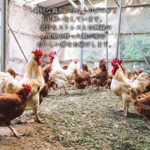 ふるさと納税 【定期便3か月】国産飼料にこだわった鶏が産む安全安心の 『レモン色たまご』60個（55個＋割れ保証5個） ［Hn10］ 和歌山県那智勝浦町_2