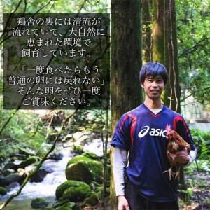 ふるさと納税 【定期便3か月】国産飼料にこだわった鶏が産む安全安心の 『レモン色たまご』60個（55個＋割れ保証5個） ［Hn10］ 和歌山県那智勝浦町_3