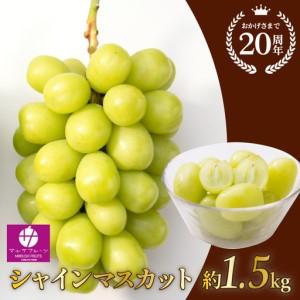 ふるさと納税 [2026年発送★先行予約]シャインマスカット 約1.5 kg以上 大房2房山梨県笛吹市一宮産 朝採り 産地直送 088-012-26y | 大房 山梨.. 山梨県笛吹市