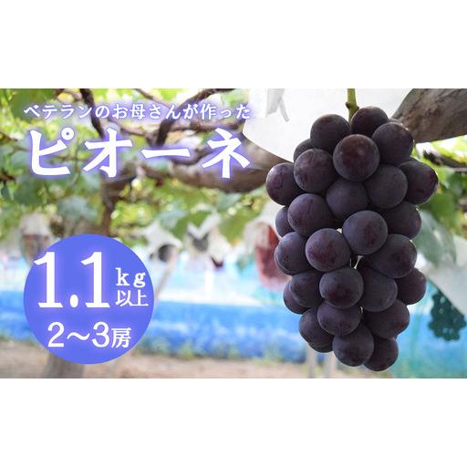 ふるさと納税 [2026年発送分 先行予約][フルーツ王国山梨]ピオーネ 1.1kg以上(2〜3房) 葡萄 ブドウ ぶどう 果物 くだもの 山.. 山梨県富士川町