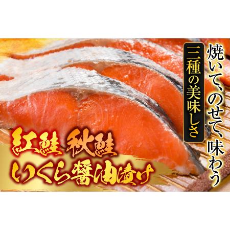 ふるさと納税 無添加天然甘塩紅鮭10切、秋鮭4切、いくら醤油漬け(鮭卵)70g×1P A-11087 北海道根室市の画像