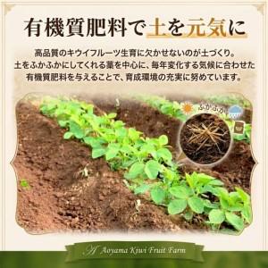 ふるさと納税 キウイフルーツ ヘイワード 大サイズ 14玉 約2kg 追熟処理済み 化粧袋付き 11月下旬発送分 千葉県船橋市_2