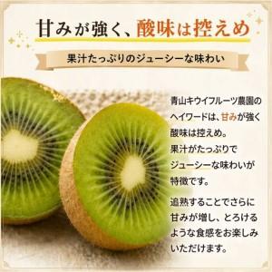 ふるさと納税 キウイフルーツ ヘイワード 大サイズ 14玉 約2kg 追熟処理済み 化粧袋付き 12月上旬発送分 千葉県船橋市_1