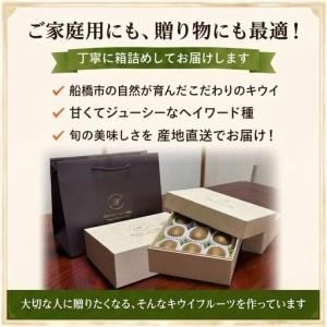 ふるさと納税 キウイフルーツ ヘイワード 大サイズ 14玉 約2kg 追熟処理済み 化粧袋付き 12月上旬発送分 千葉県船橋市_3