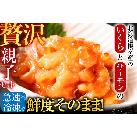 ふるさと納税 【北海道根室産】[鮭匠ふじい]いくら・サーモン親子丼の具 A-42019 北海道根室市の画像