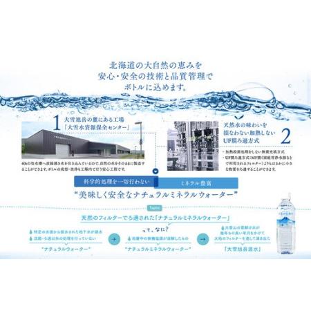 ふるさと納税 【4ヵ月定期便】大雪旭岳源水（2L×12本） 北海道東川町_2