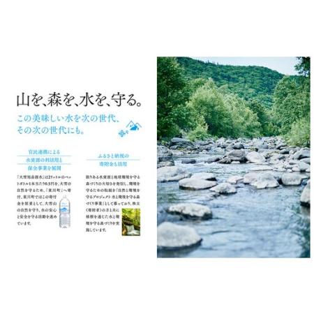 ふるさと納税 【4ヵ月定期便】大雪旭岳源水（2L×12本） 北海道東川町_4