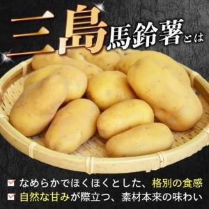 ふるさと納税 【先行予約2026年7月上旬より順次発送】 三島馬鈴薯 約