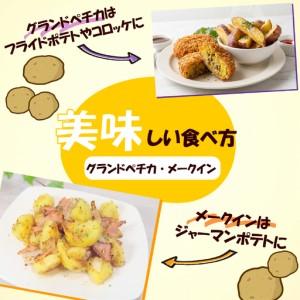 ふるさと納税 【先行予約2026年7月上旬より順次発送】 馬鈴薯 4種 約