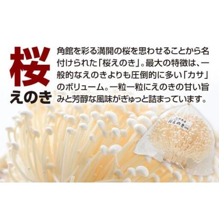ふるさと納税 みちのくの小京都・角館が育んだ「2種セット」（桜えのき約300g×3袋、原木しいたけ×3パック）きのこ2種 秋田県仙北市_3