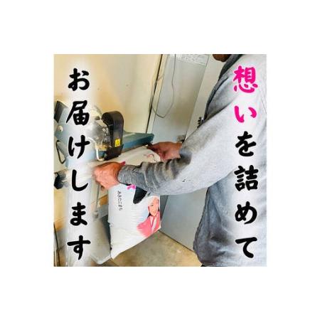 ふるさと納税 白米 青森県産あきたこまち 精米 10kg 令和7年産 青森県十和田市_2