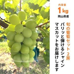 ふるさと納税 ぶどうセット 2房(シャインマスカット1房+おすすめ品種1房)1kg 旬 岡山県産 岡山県井原市