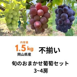 ふるさと納税 ぶどう食べ比べセット 3〜4房 1.5kg 訳あり 不揃い 家庭用 旬 岡山県産 岡山県井原市