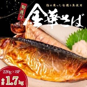 ふるさと納税 金華さば フィーレ 1.7kg 千葉県銚子市