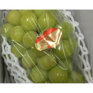 ふるさと納税 訳ありシャインマスカット 600g (1房) ご家庭用 香川県さぬき市_3