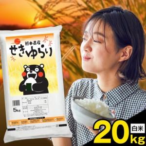 ふるさと納税 米 南関町 せきゆらり 白米 20kg[7-14日以内に出荷予定(土日祝除く)]熊本県産 国産 白米 こめ コメ 20キロ 熊本県南関町