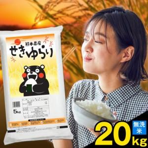 ふるさと納税 米 南関町 せきゆらり 無洗米 20kg[7-14日以内に出荷予定(土日祝除く)]熊本県産 国産 無洗米 こめ コメ 20キロ 熊本県南関町
