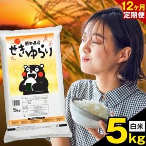 ふるさと納税 [12ヶ月定期便]米 南関町 せきゆらり 白米 5kg[お申込み翌月から出荷]熊本県産 国産 白米 こめ コメ 5キロ 熊本県南関町