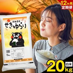 ふるさと納税 [12ヶ月定期便]米 南関町 せきゆらり 白米 20kg[お申込み翌月から出荷]熊本県産 国産 白米 こめ コメ 20キロ 熊本県南関町