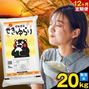 ふるさと納税 [12ヶ月定期便]米 南関町 せきゆらり 無洗米 20kg[お申込み翌月から出荷]熊本県産 国産 無洗米 こめ コメ 20キロ 熊本県南関町