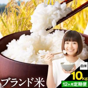 ふるさと納税 [12ヶ月定期便]米 南関町 単一原料米 (ひのひかりorにこまるorくまさんの輝き) 白米 10kg[お申込み翌月から出荷]熊本県産 国.. 熊本県南関町