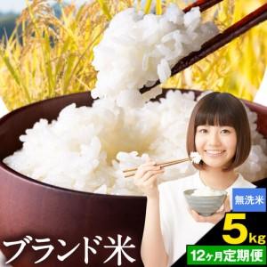 ふるさと納税 [12ヶ月定期便]米 南関町 単一原料米 (ひのひかりorにこまるorくまさんの輝き) 無洗米 5kg[お申込み翌月から出荷]熊本県産 国.. 熊本県南関町