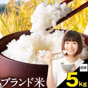 ふるさと納税 米 南関町 単一原料米 (ひのひかりorにこまるorくまさんの輝き) 白米 5kg[7-14日以内に出荷予定(土日祝除く)]熊本県産 国産 ひ.. 熊本県南関町